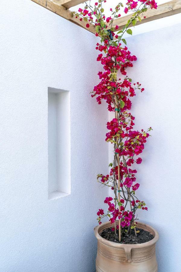 Lemon Suites Santorini Тира Экстерьер фото